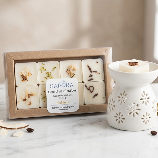 Boîtier de cubes de cire de soya Littoral des Caraïbes de Sapora et diffuseur de cire en céramique blanche sur fond de marbre chic.