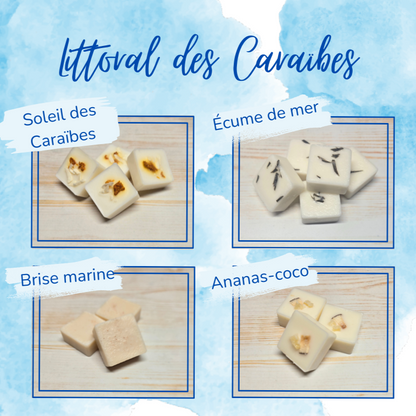 Coffret cubes de cire – Notes fraîches et fruitées, inspirées des Caraïbes - Description