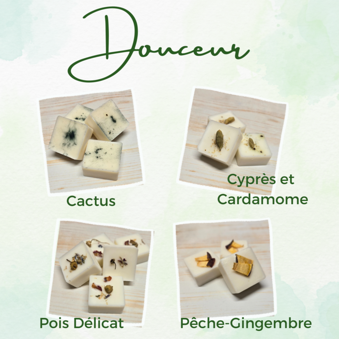 Description wax melt douceur