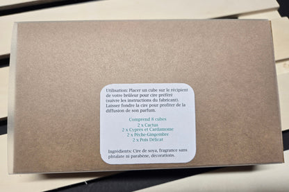 Coffret de 4 cires parfumées pour réchaud – Fragrances douces et relaxantes, créant une ambiance chaleureuse et réconfortante - Dos