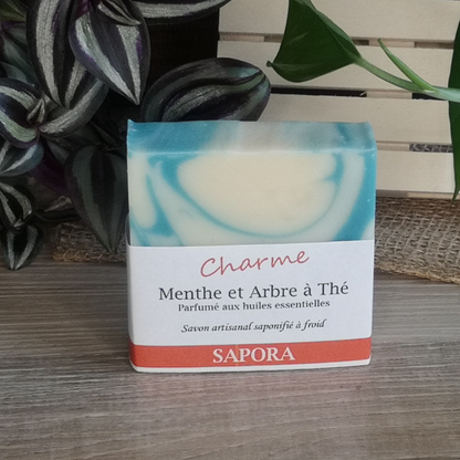 Savon naturel menthe & arbre à thé – Une mousse onctueuse et une fragrance fraîche et tonifiante - Front