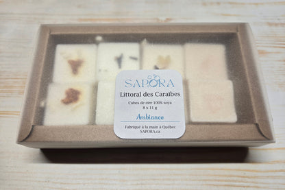 Cubes de cire parfumés – Collection Littoral des Caraïbes, évasion sensorielle - Dessus